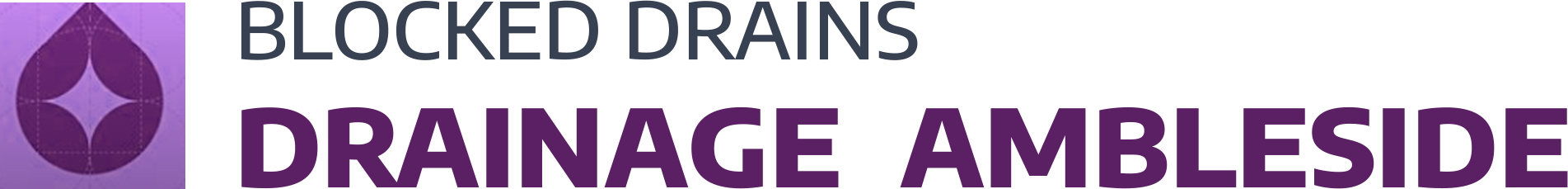 website logo